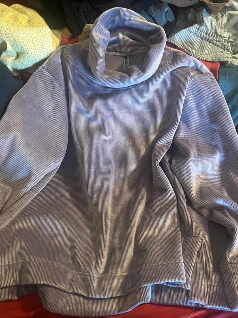 Lavender Corduroy Turtleneck Pullover
So soft on the inside!